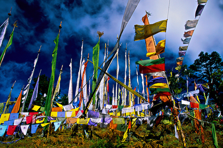 The relevance of Prayer Flags