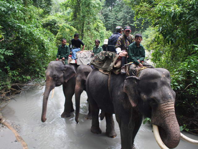 Royal Manas National Park